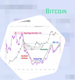Bit coin worth